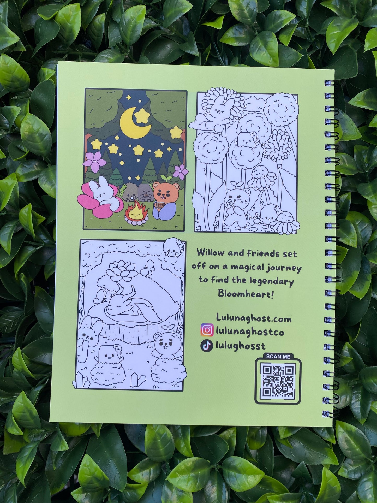 Bloomheart Quest-Coloring Book