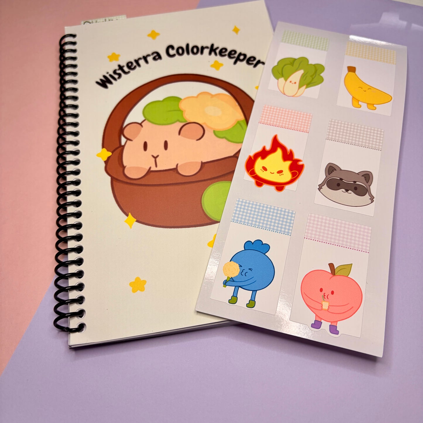 ✨ B-Grade Wisterra Colorkeeper – 5x7 Color Swatchbook ✨